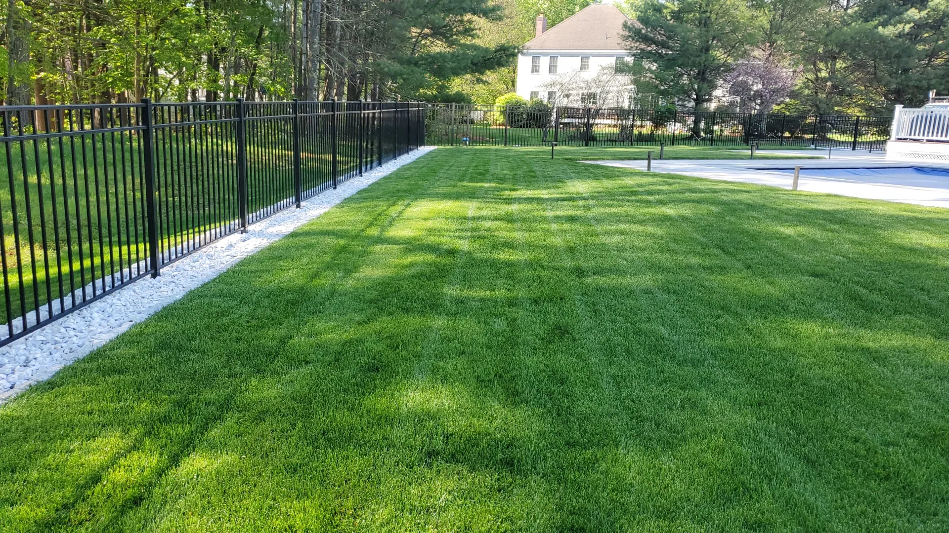 Ornamental aluminum fence photo 7